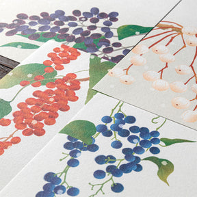 Midori - Letter Set - Kami - Winter Fruit