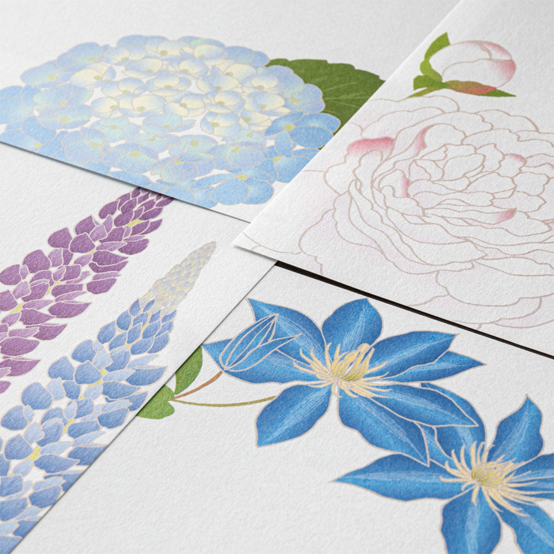 Midori - Letter Set - Kami - Summer Flowers