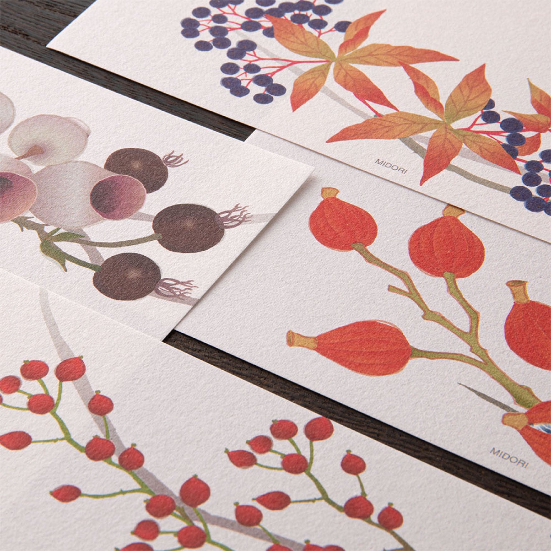 Midori - Letter Set - Kami - Autumn Wreath