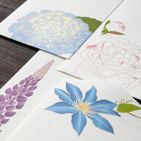 Midori - Letter Set - Kami - Summer Flowers