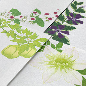 Midori - Letter Pad - Kami - Summer Flowers
