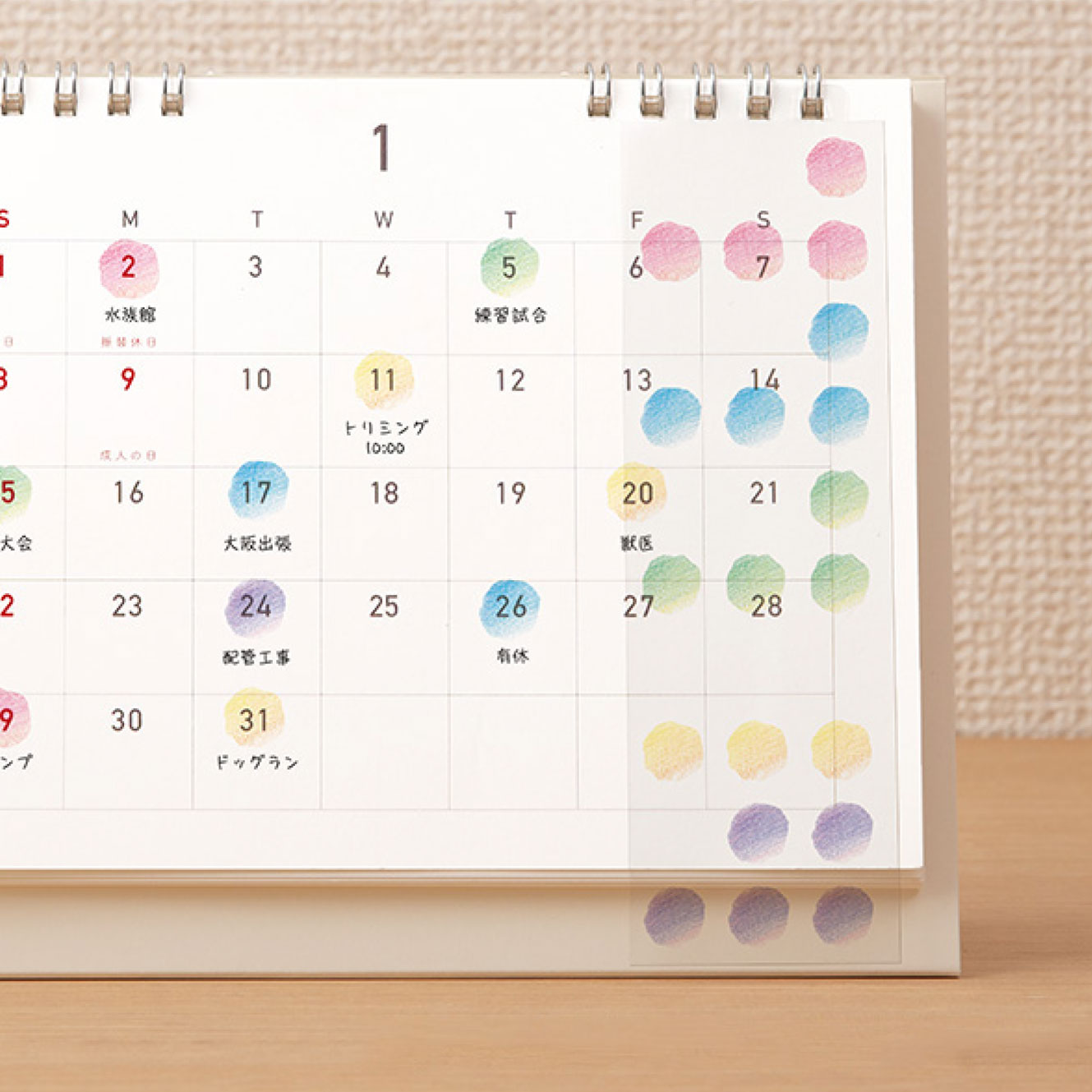 Midori - Planner Sticker - Calendar - Floral <M>