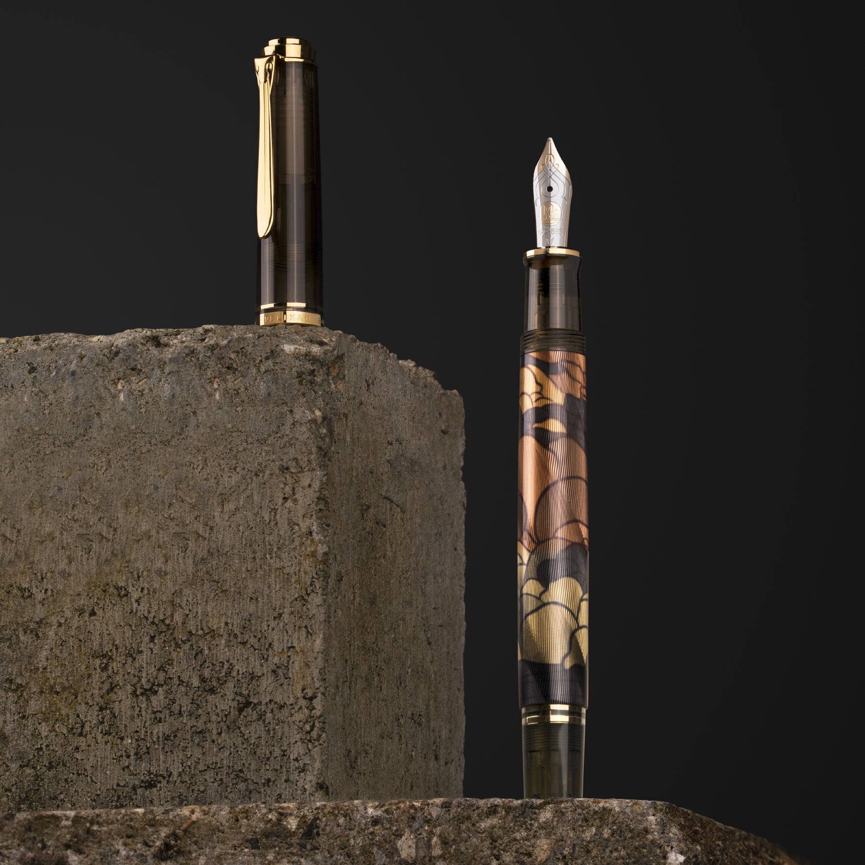 Pelikan - Fountain Pen - Souverän M600 - Art Collection - Georg Tippel