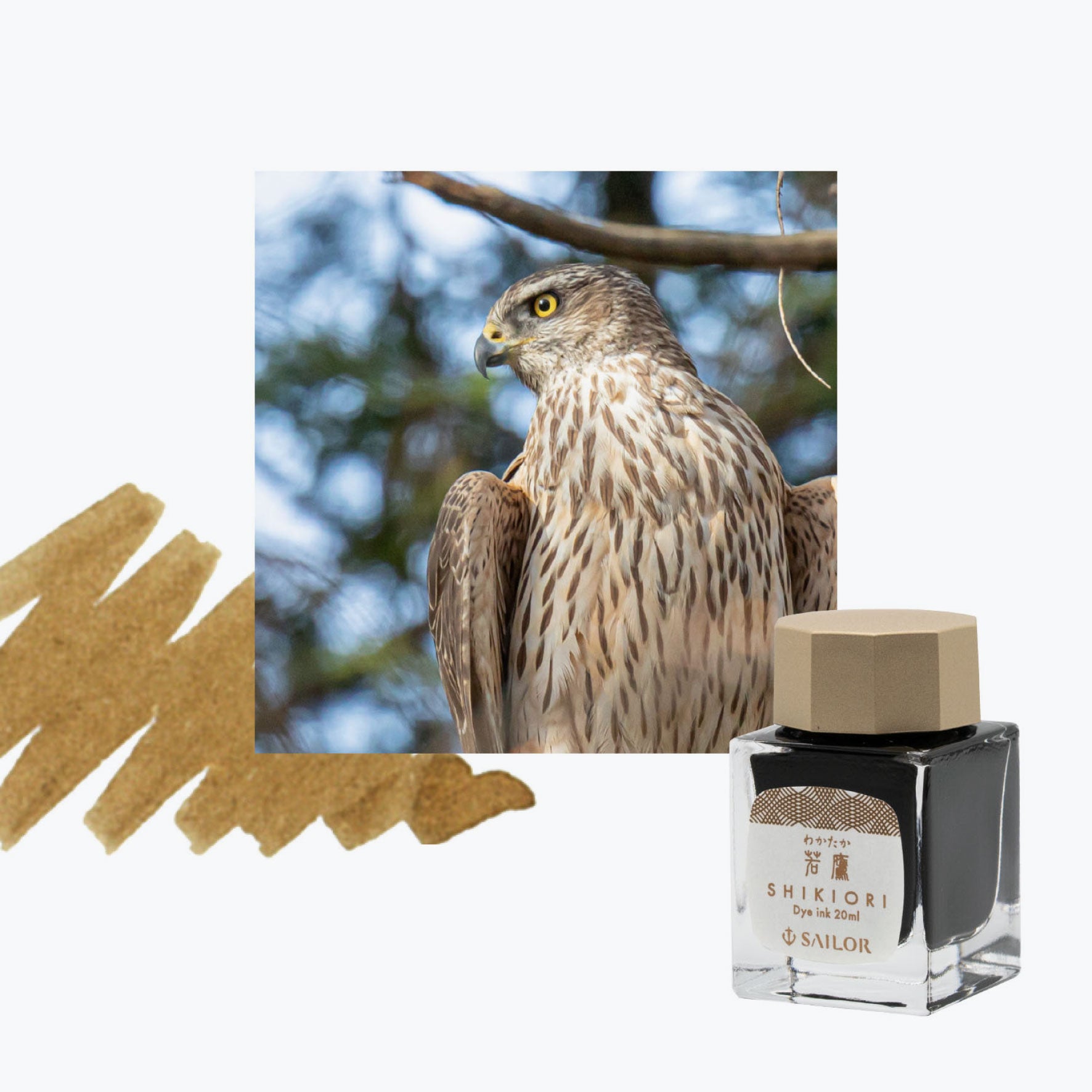 Sailor - Fountain Pen Ink - Shikiori (Noyama-no-uta) - Waka-taka