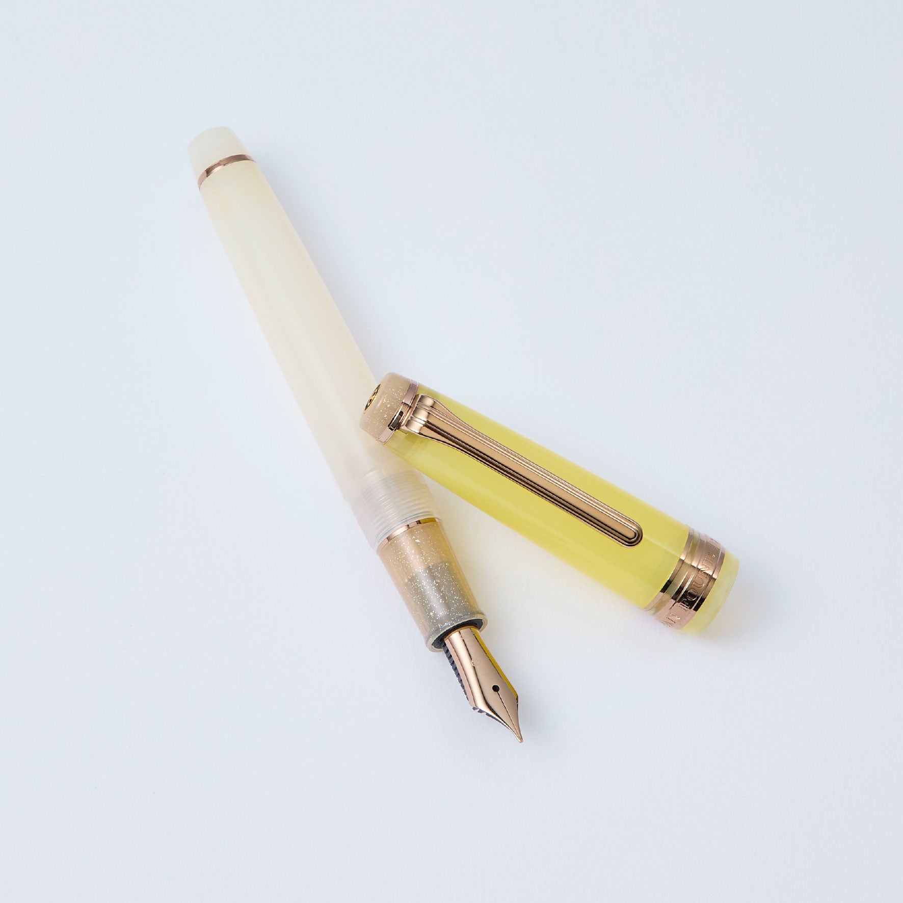 Sailor - Fountain Pen - ProGear Slim - Dried Flower 2 - Marigold