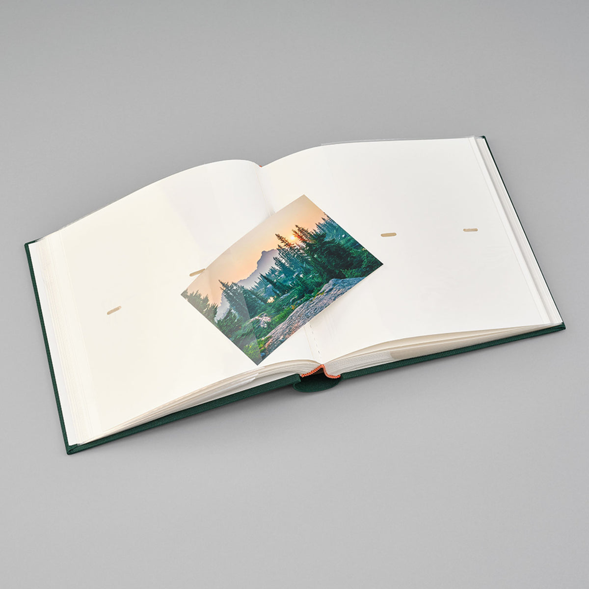 Semikolon - Photo Album - 200 Pockets - Heritage - Forest