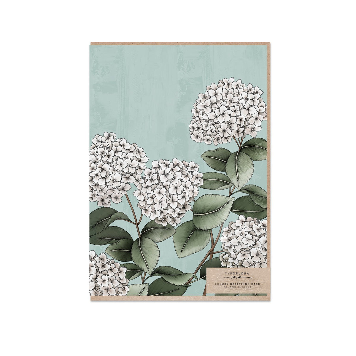 Typoflora card with hydrangea illustration
