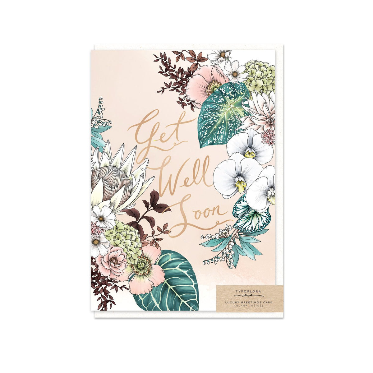 Typoflora card with king protea flowers and a 'Get well soon' message