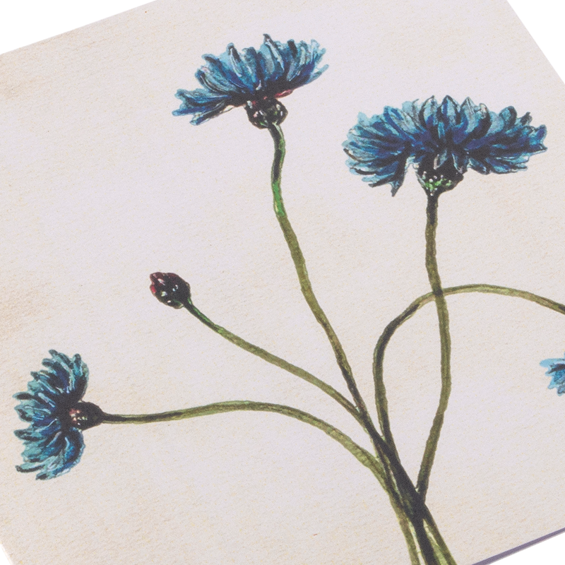 Bookbinders Design - Card - Cornflower