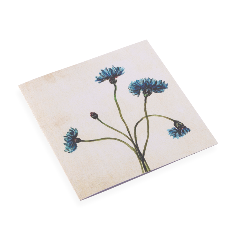Bookbinders Design - Card - Cornflower
