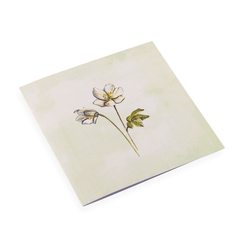 Bookbinders Design - Card - Windflower <Outgoing>