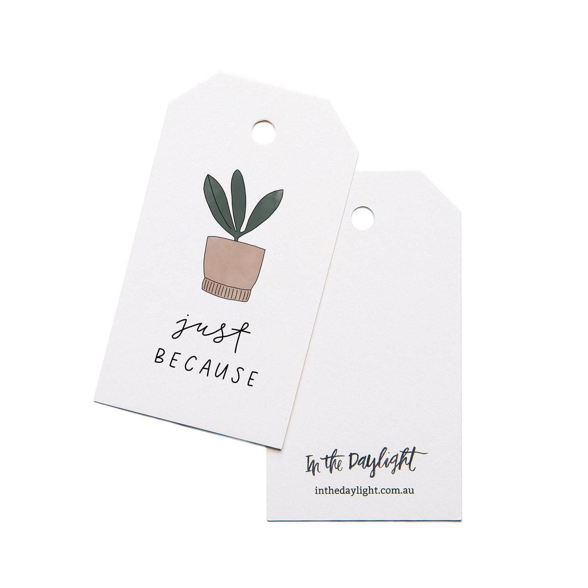In the Daylight - Gift Tags - Pack of 5 - Just Because