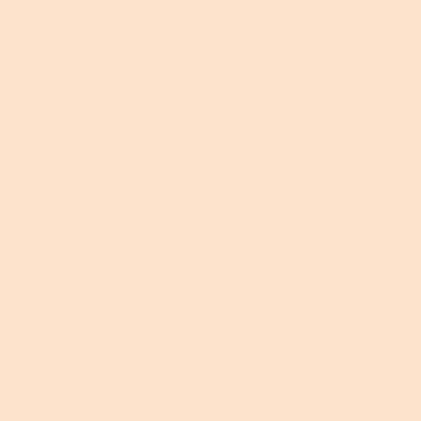 Marvy Uchida - Brush Pen - Le Plume II - Pale Pink #47