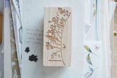 Jess Lynn Padilla - Stamp - Grow (Life Branch)