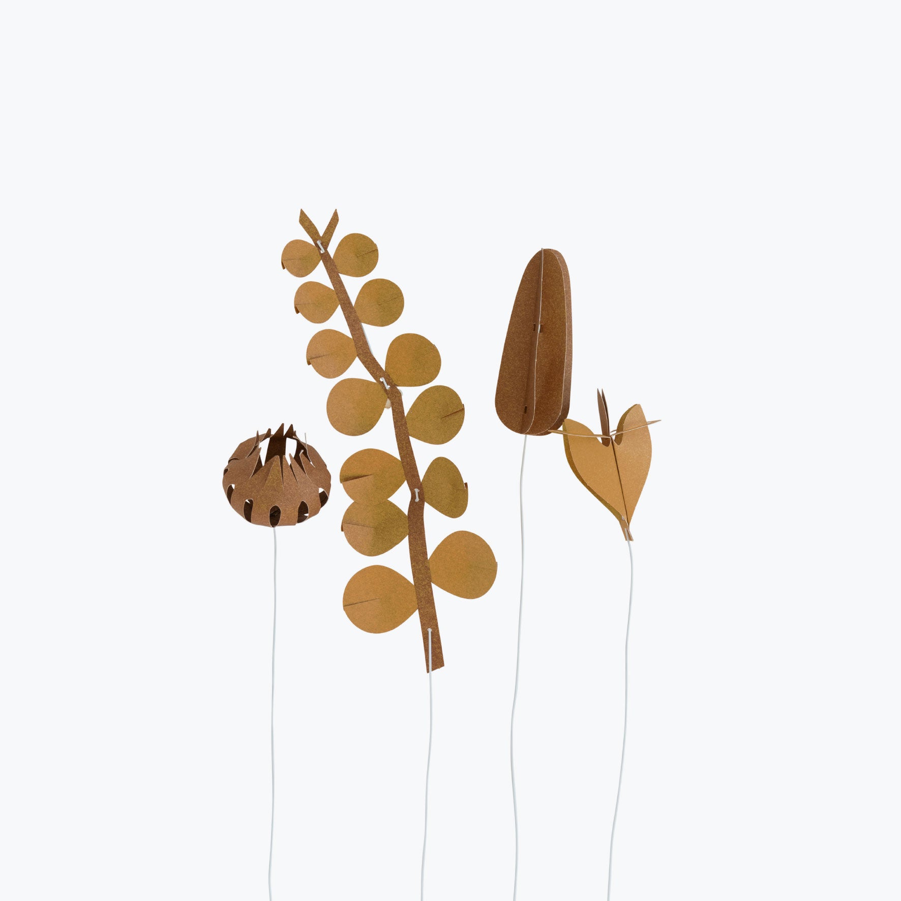 Jurianne Matter - Ornament - Flowers - Field - Small Browns