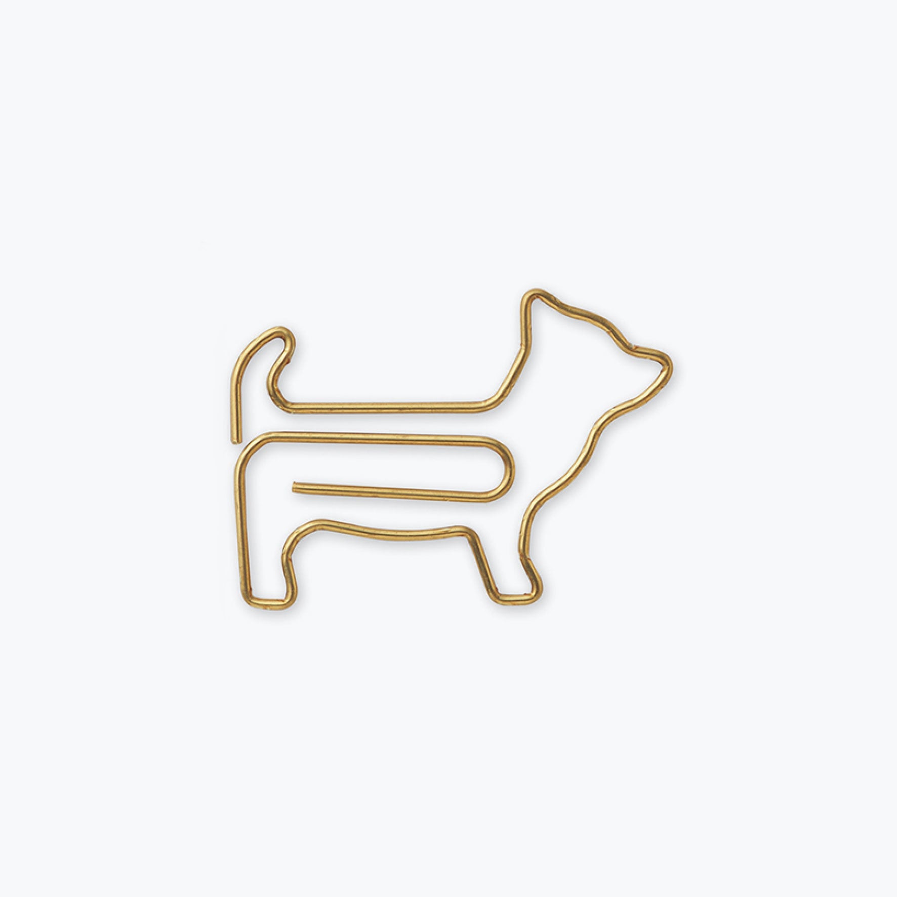 Midori - D-Clips - Dog (Chihuahua) <Outgoing>