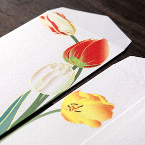 Midori - Letter Set - Kami - Tulips