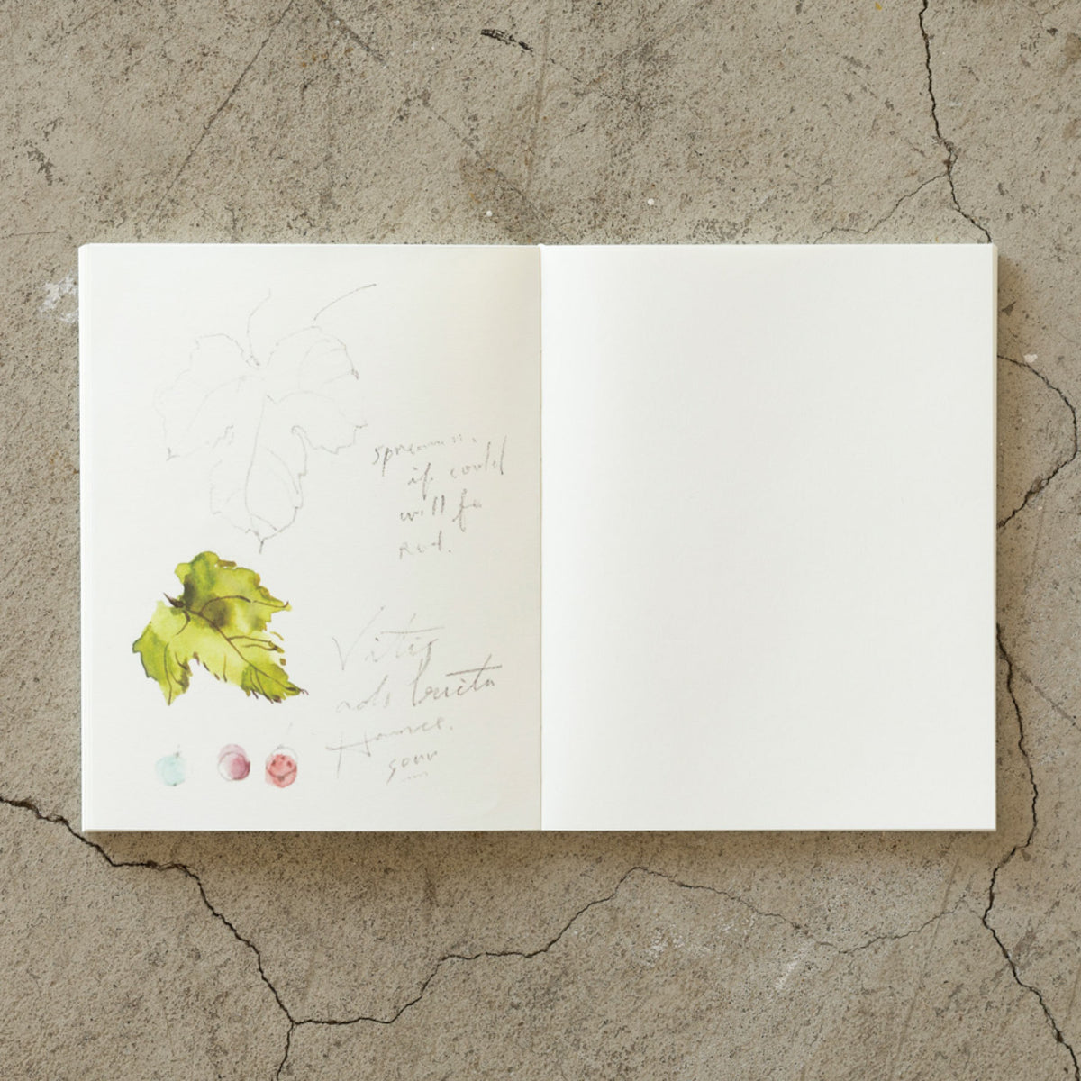 Midori - Notebook - MD Paper - F0 - Cotton