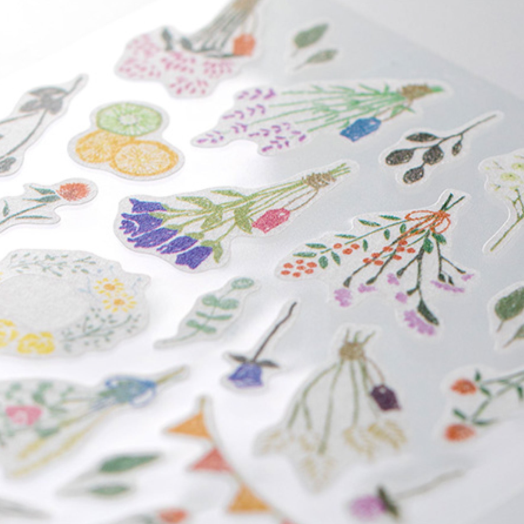 Midori - Sticker Seal - Sticker Marché - Dried Flowers <Outgoing>