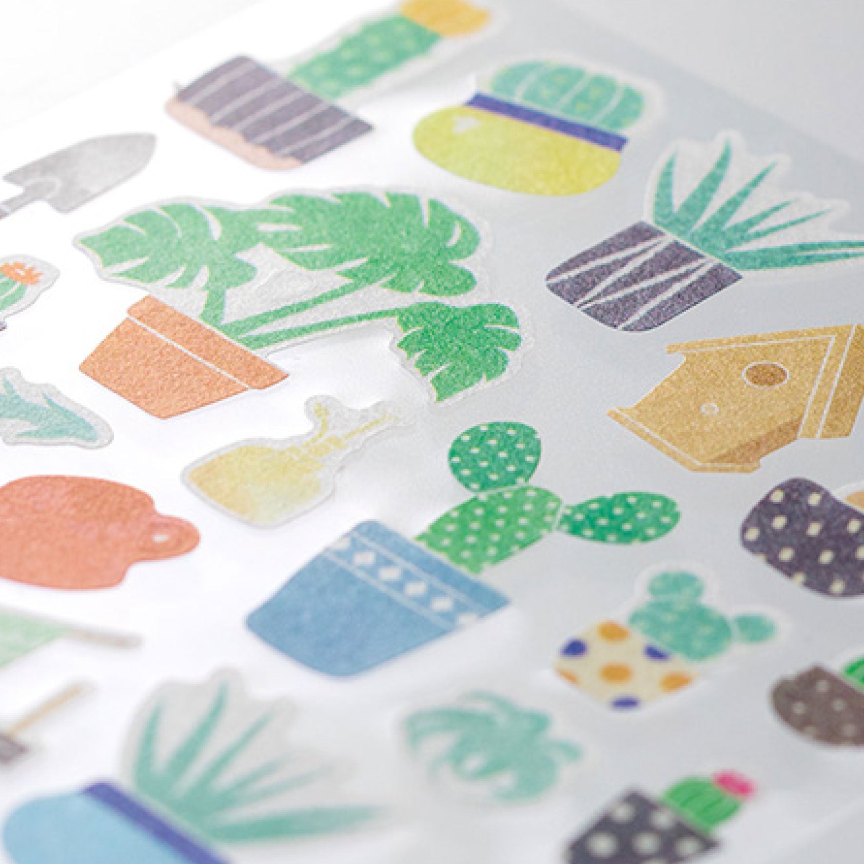 Midori - Sticker Seal - Sticker Marché - Cactus <Outgoing>