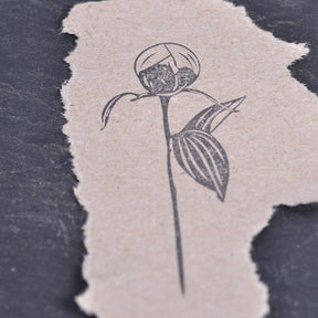 Stempel Jazz - Stamp - Peony Bud
