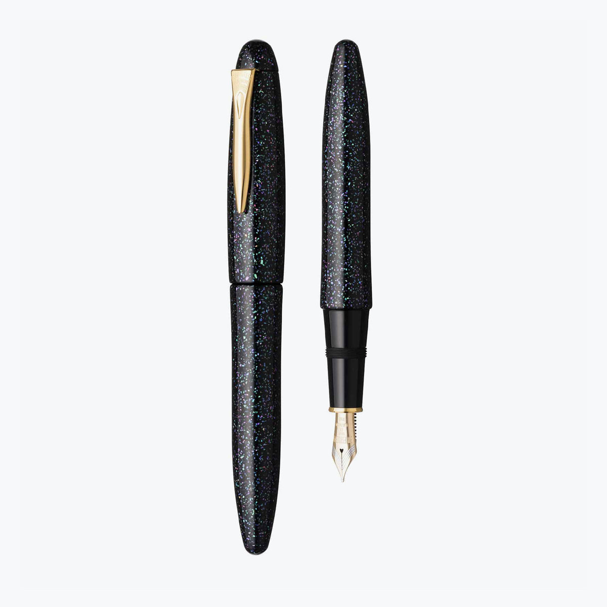 Platinum - Fountain Pen - Izumo - Raden Galaxy (Limited Edition)