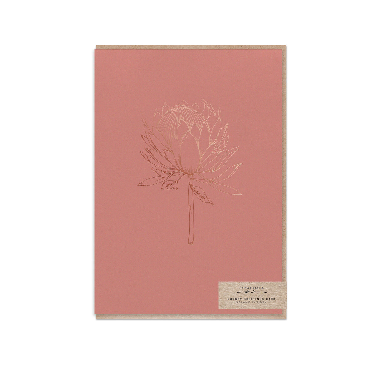 Typoflora - Card - Terracotta King Protea