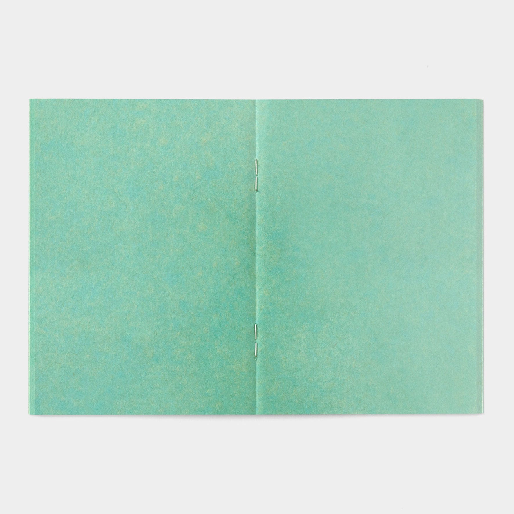 Traveler's Factory - Insert - Passport - Kraft Turquoise